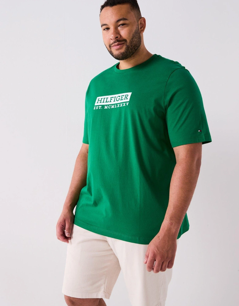 Big & Tall Colour To Colour T-Shirt - Green