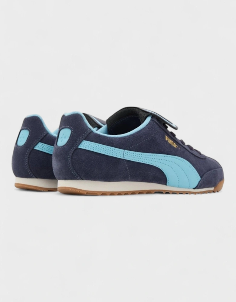 x Noah Arizona Navy