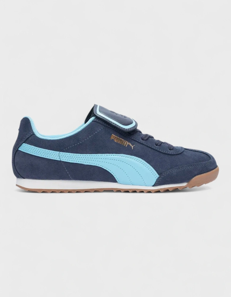 x Noah Arizona Navy