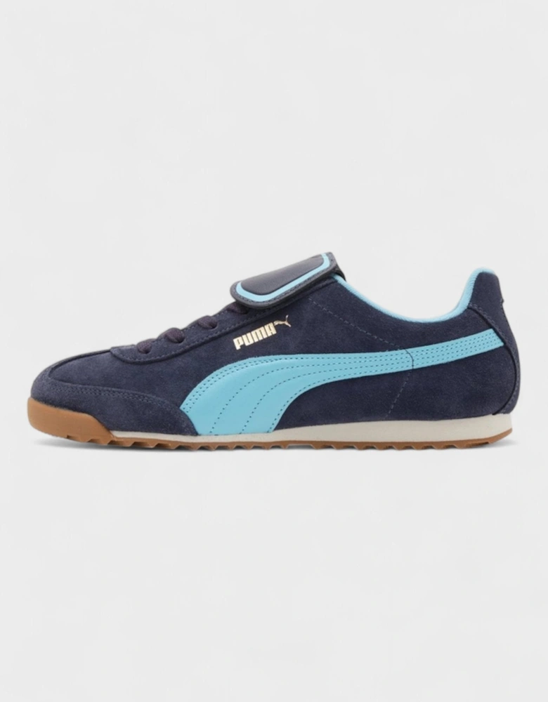 x Noah Arizona Navy