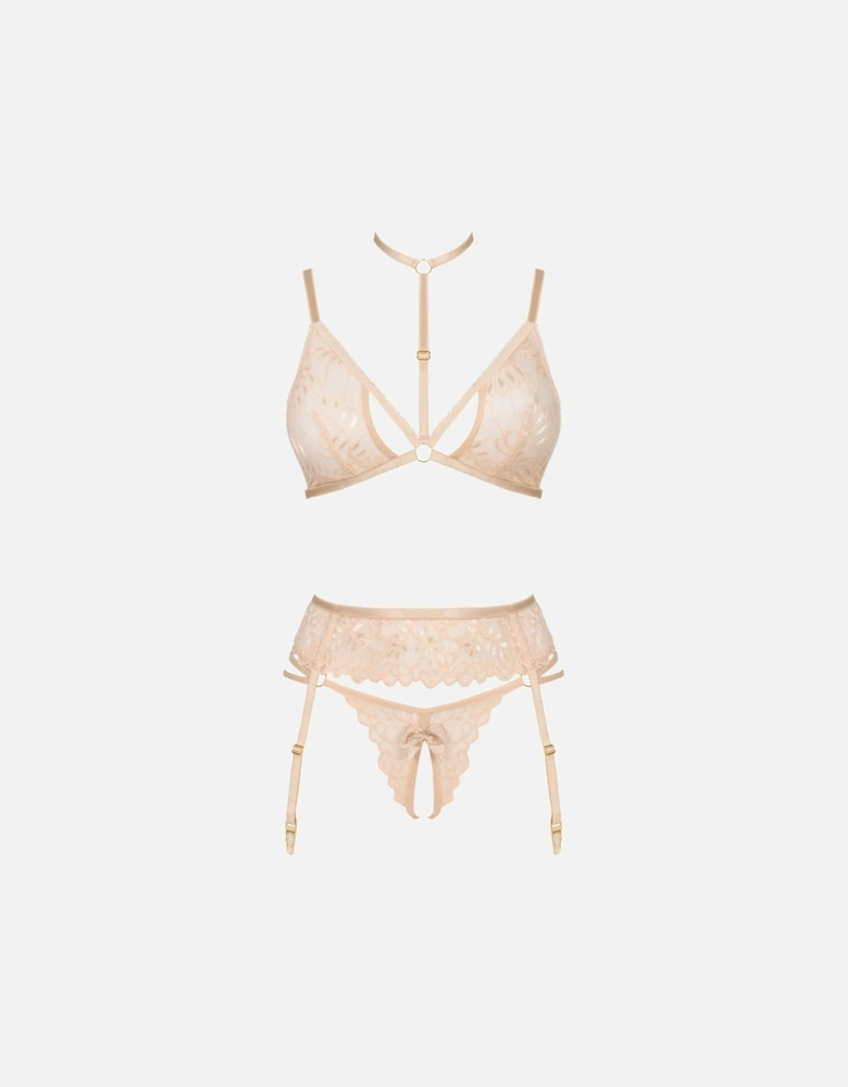 BN Noemi Set Nude Women Bras