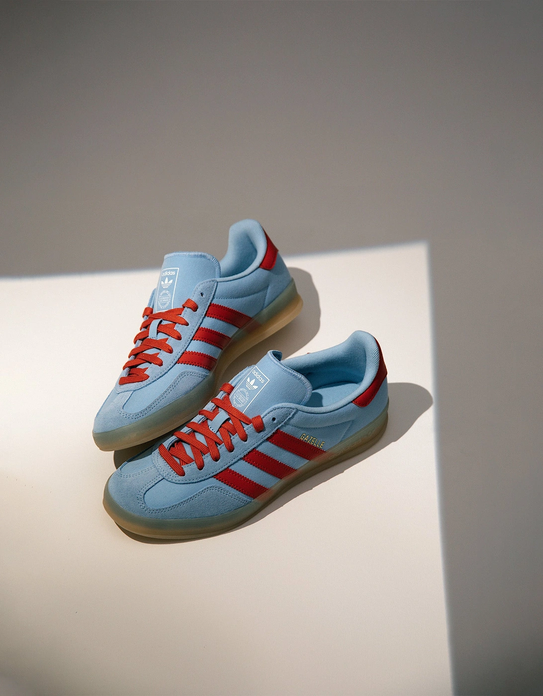 Gazelle Indoor Trainers