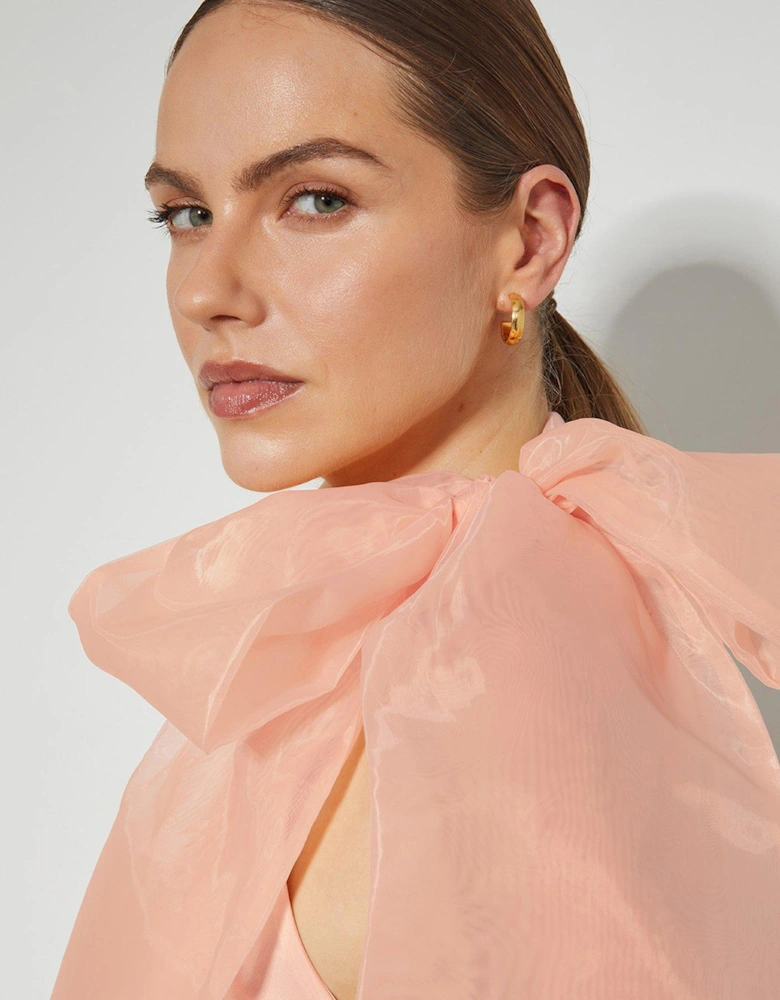 Vera Organza Top - Pink