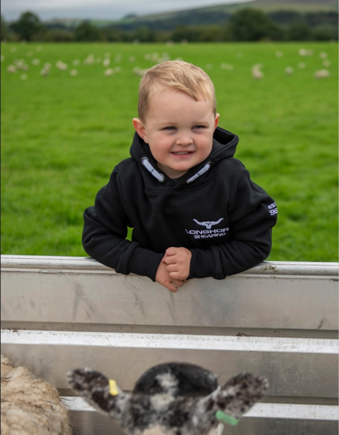 Children's Longhorn Signature Series Hoodie Black