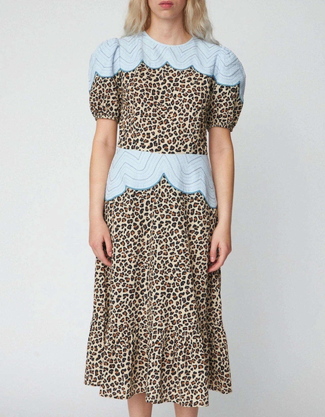 Leopard Embroidered Cotton-Seersucker Midi Dress, 2 of 1