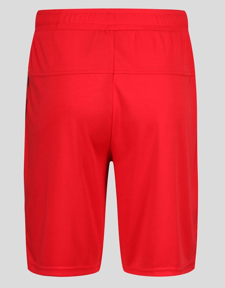 Team Shorts