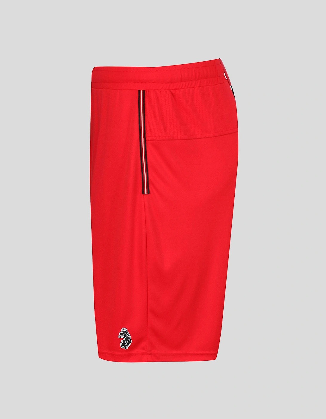 Team Shorts, 5 of 4