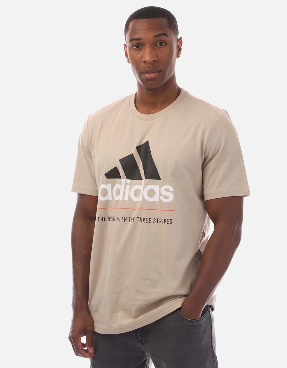 Graphic Logo T-Shirt, 5 of 4