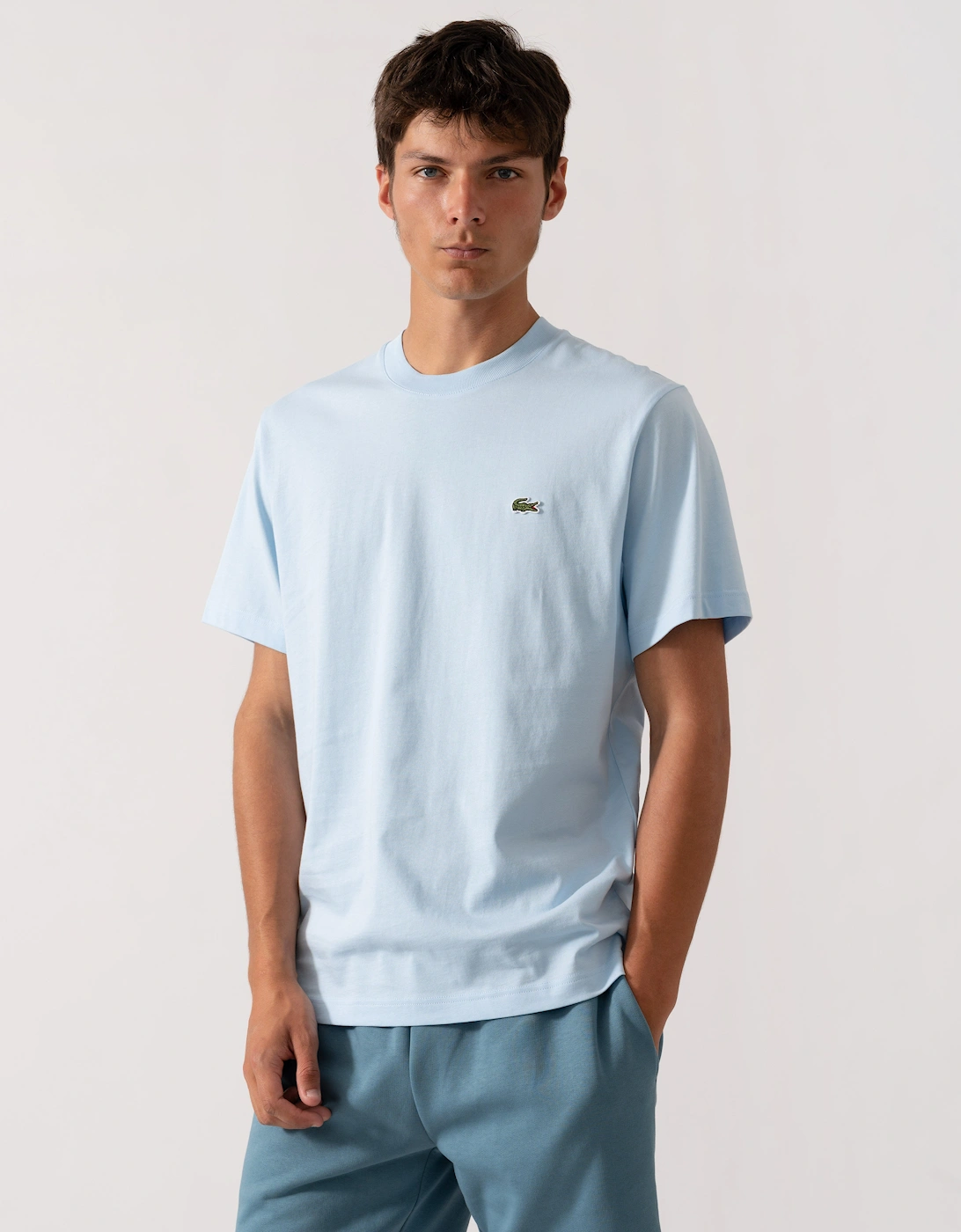 Mens Classic Fit Cotton Jersey T-Shirt, 2 of 1