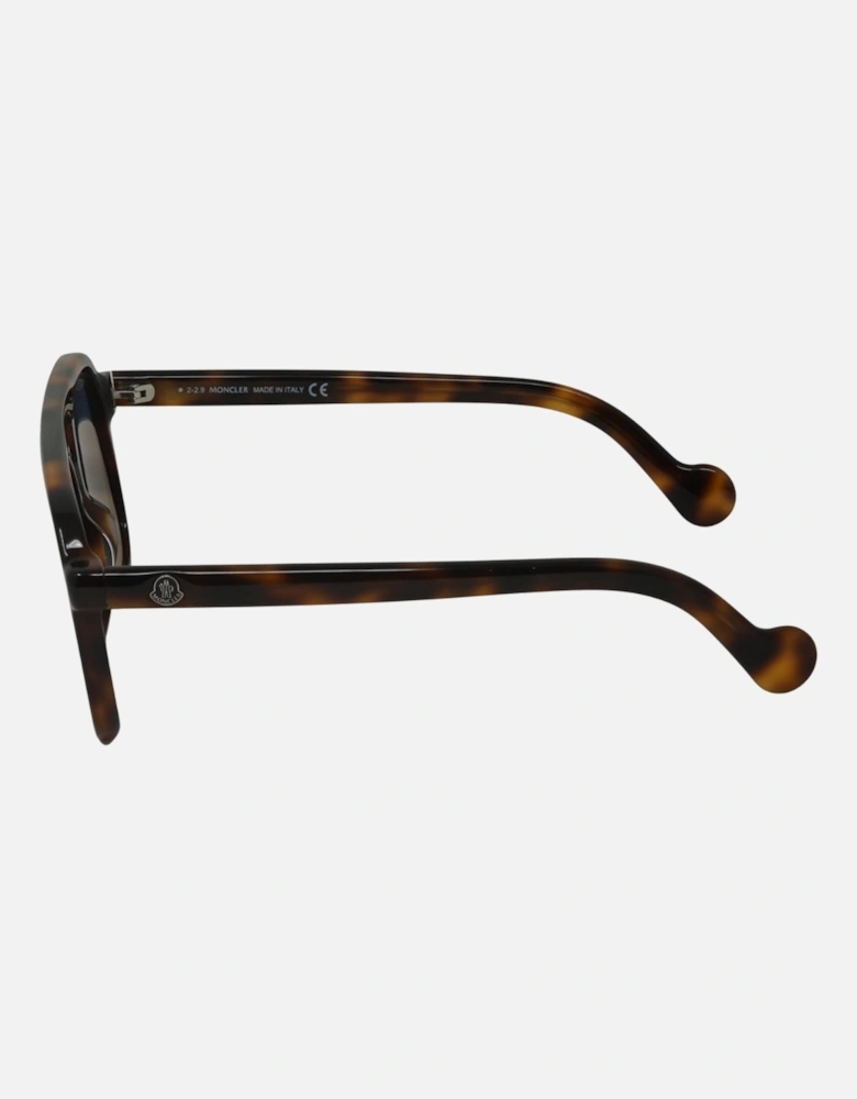 Dark Havana Brown Sunglasses
