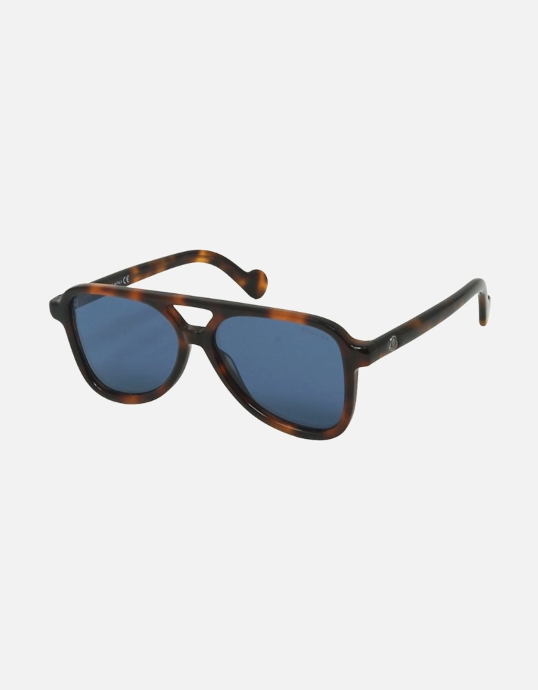 Dark Havana Brown Sunglasses