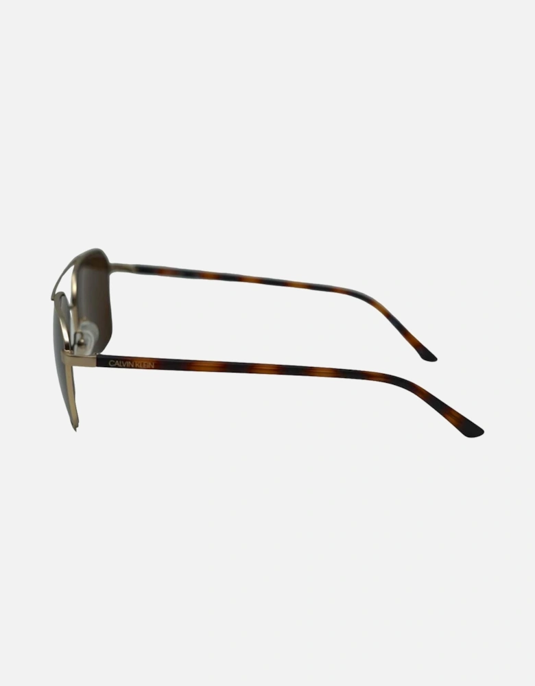Havana Brown Arms Gold Sunglasses