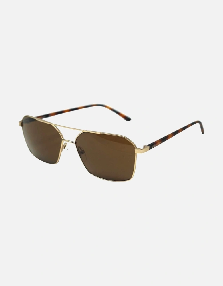 Havana Brown Arms Gold Sunglasses