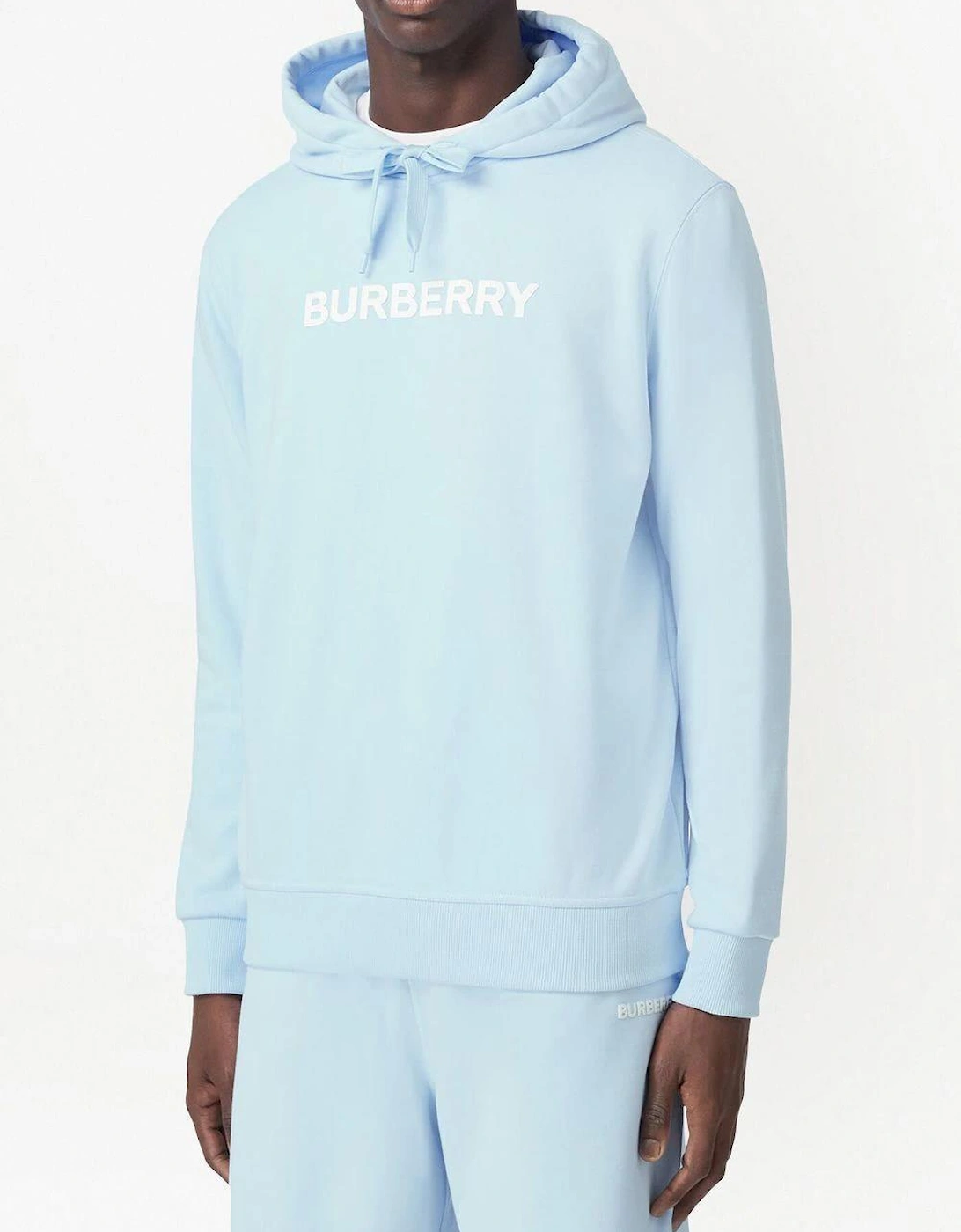 Ansdell Logo Hooded Sweatshirt Blue