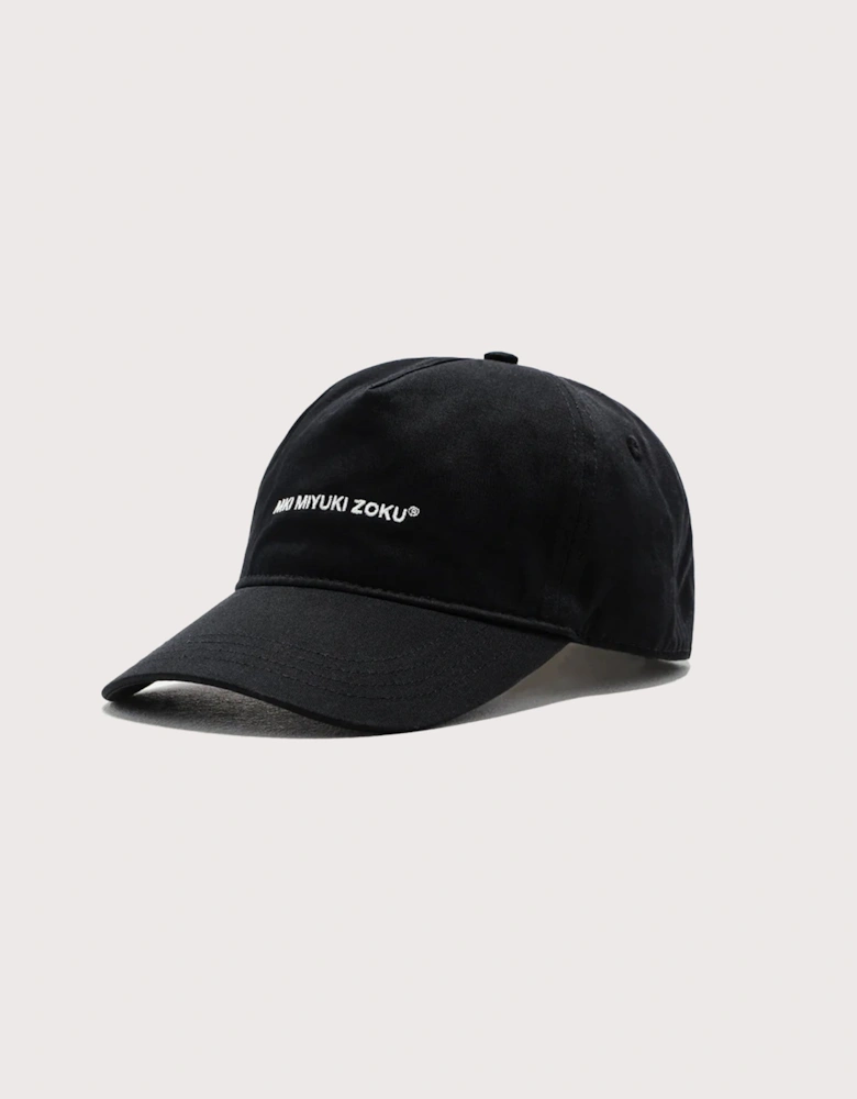 V2 Twill Baseball Cap