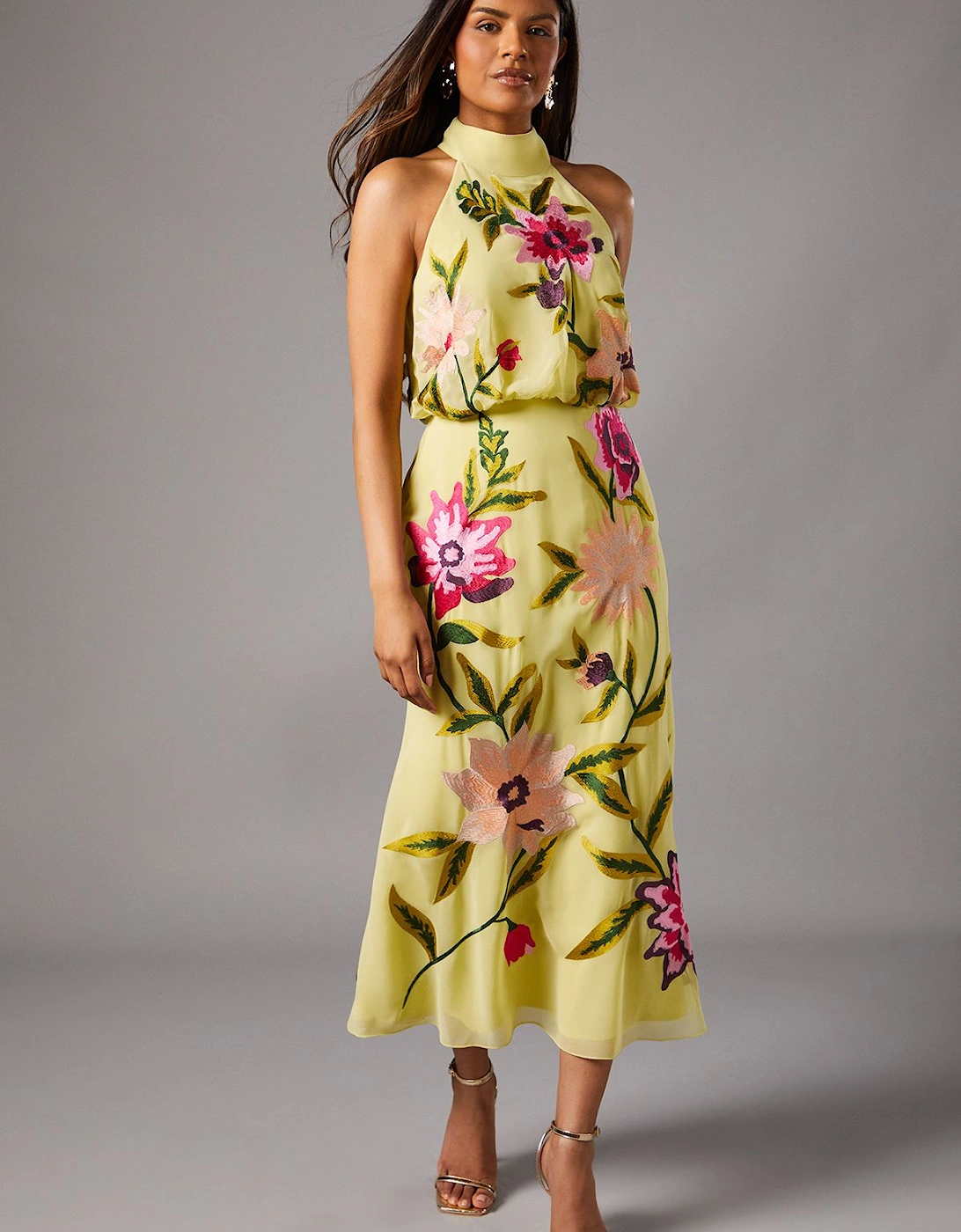 Petite Embroidered Halter Neck Midi Dress, 2 of 1