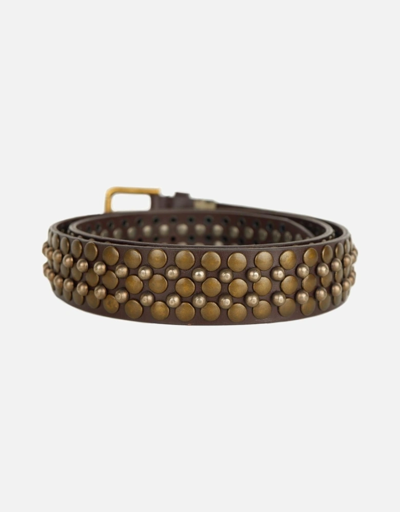 Calfskin Belt with Metal Studs Women - Brown