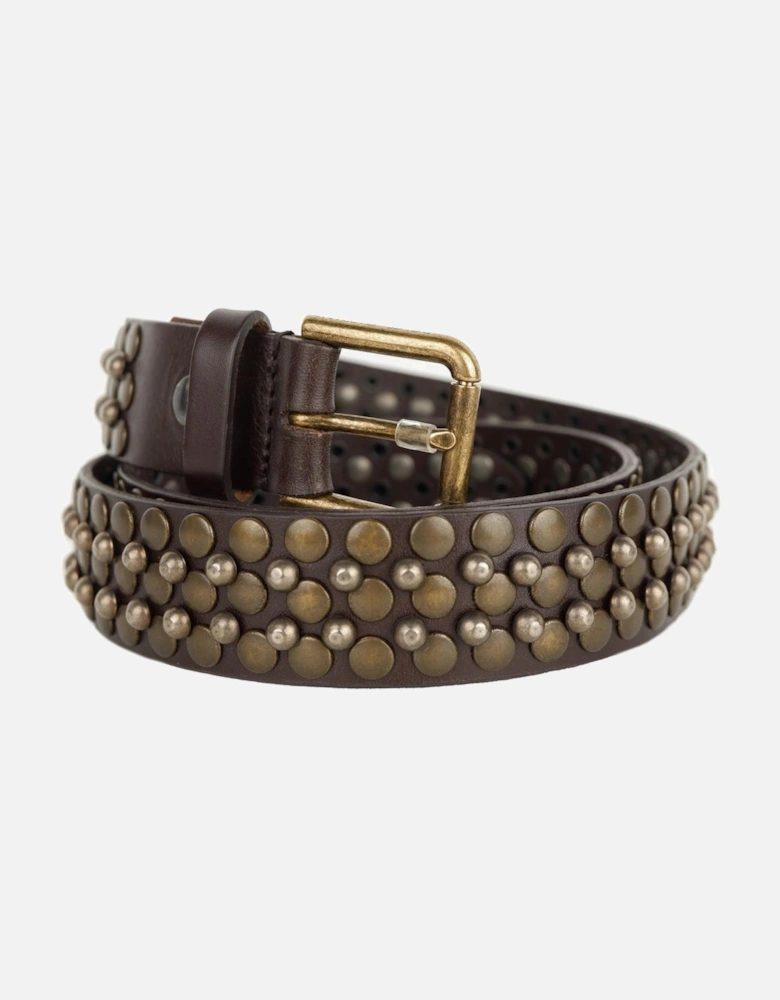 Calfskin Belt with Metal Studs Women - Brown