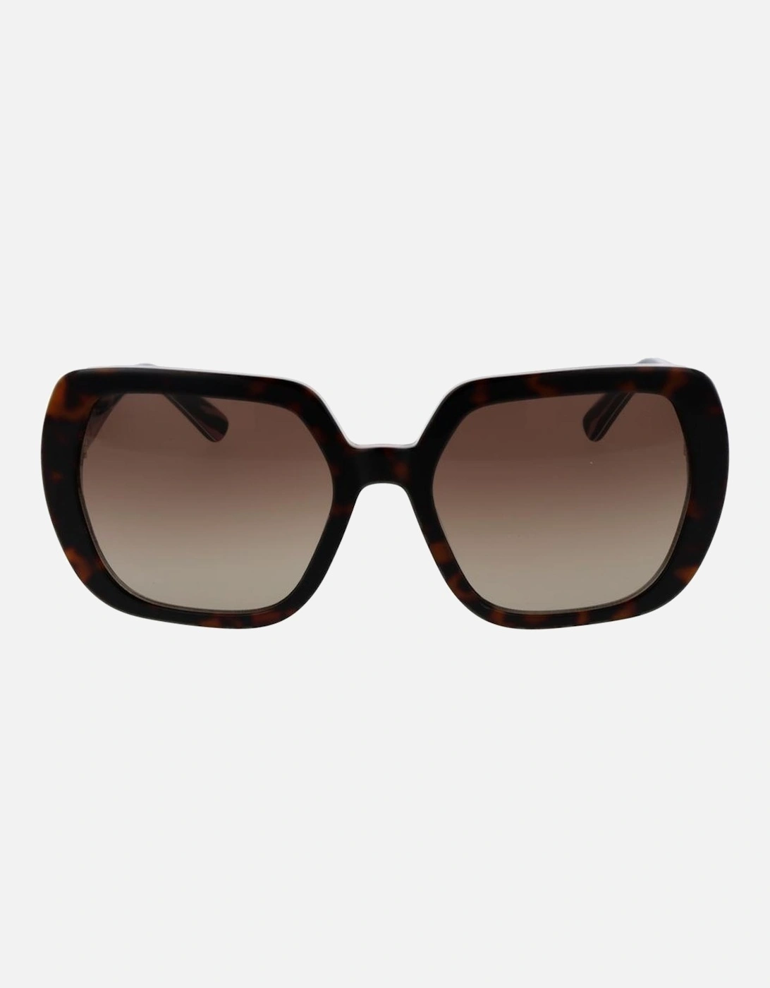 Square Gradient Full-Rim Acetate Sunglasses Women - Brown