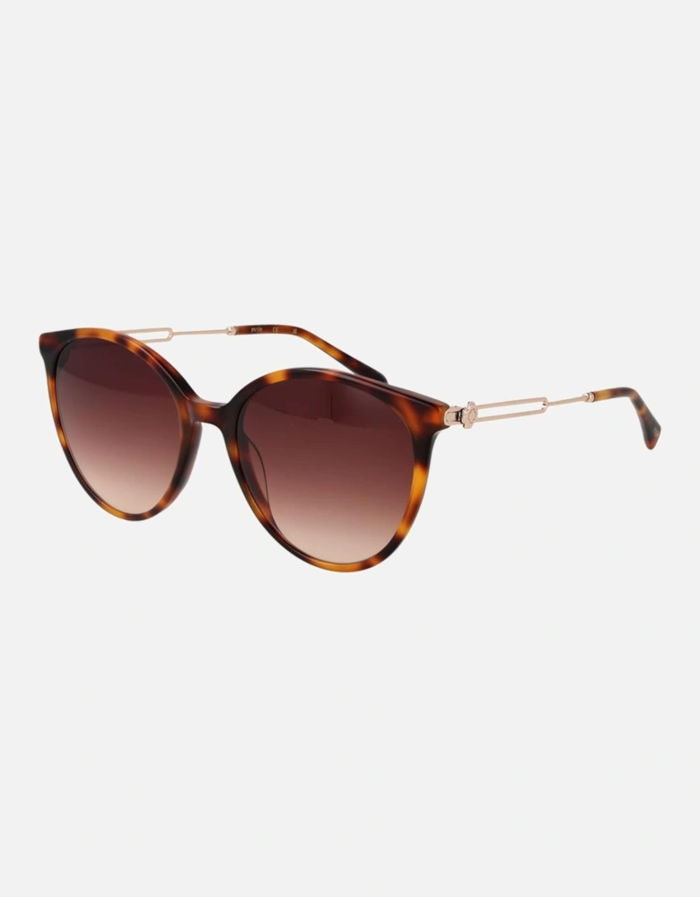 Round Acetate Sunglasses with Gradient Lenses Women - Brown