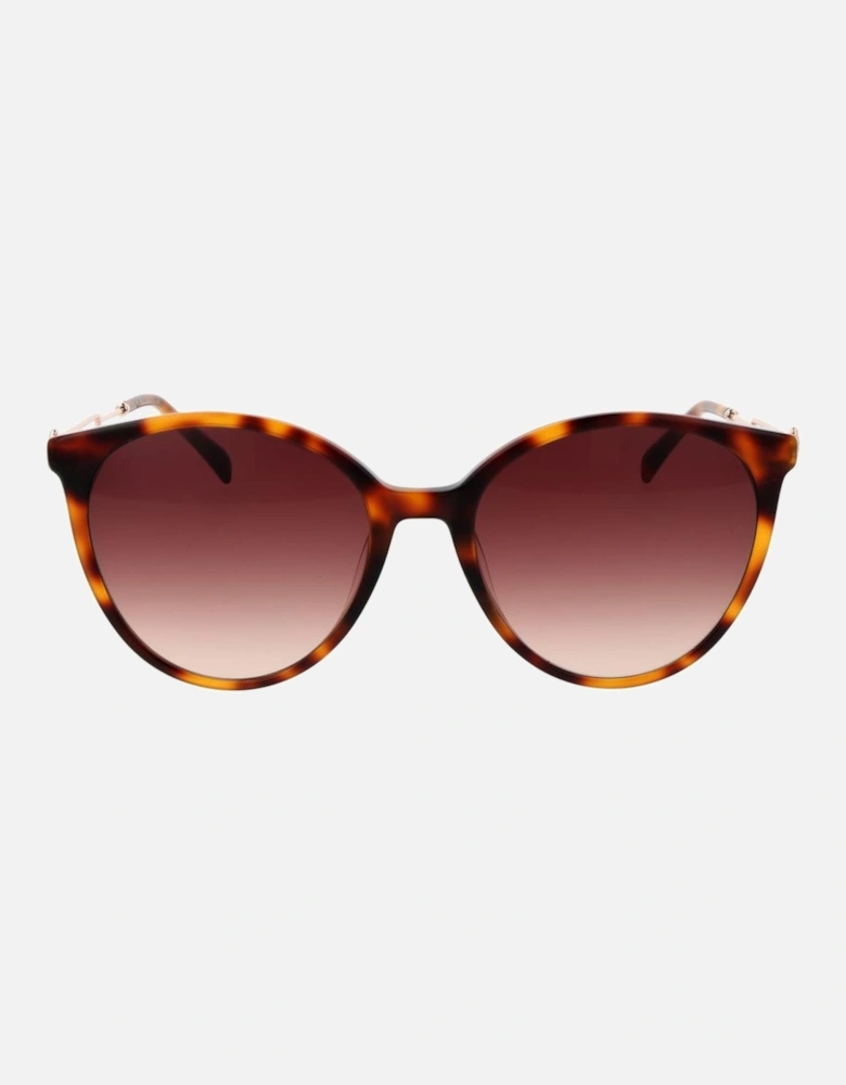 Round Acetate Sunglasses with Gradient Lenses Women - Brown