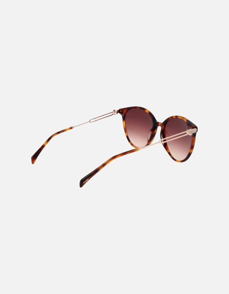 Round Acetate Sunglasses with Gradient Lenses Women - Brown