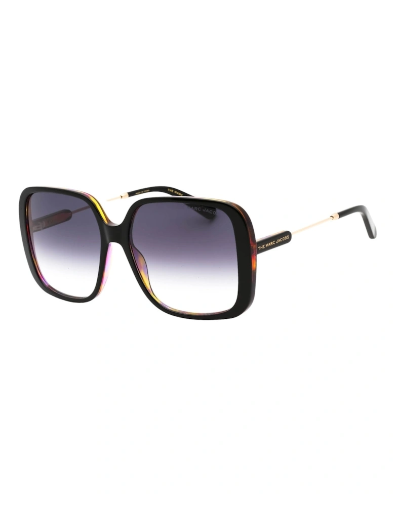 Dark Grey SF Lensed Black Frame Sunglasses