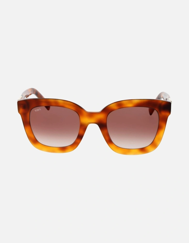 Acetate Square Sunglasses with Mirrored Rose Lenses Women - Brown