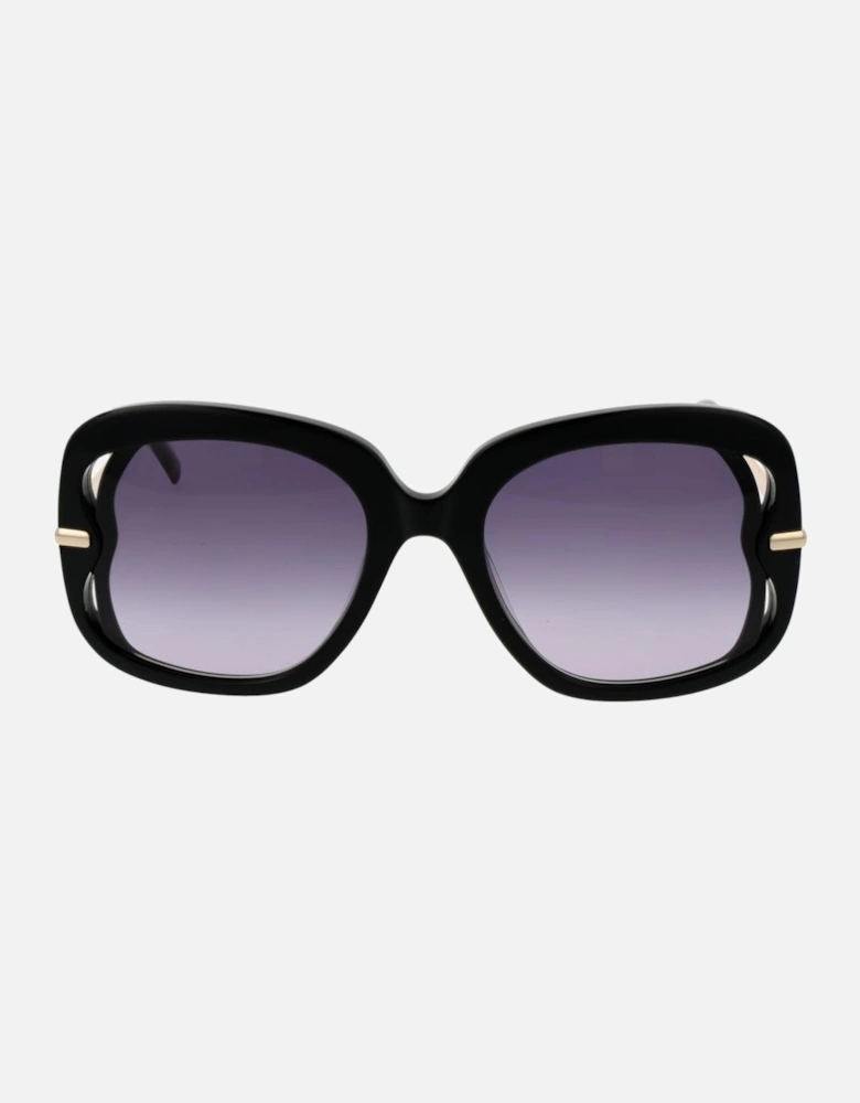 Butterfly Gradient Full-Rim Acetate Sunglasses Women - Black