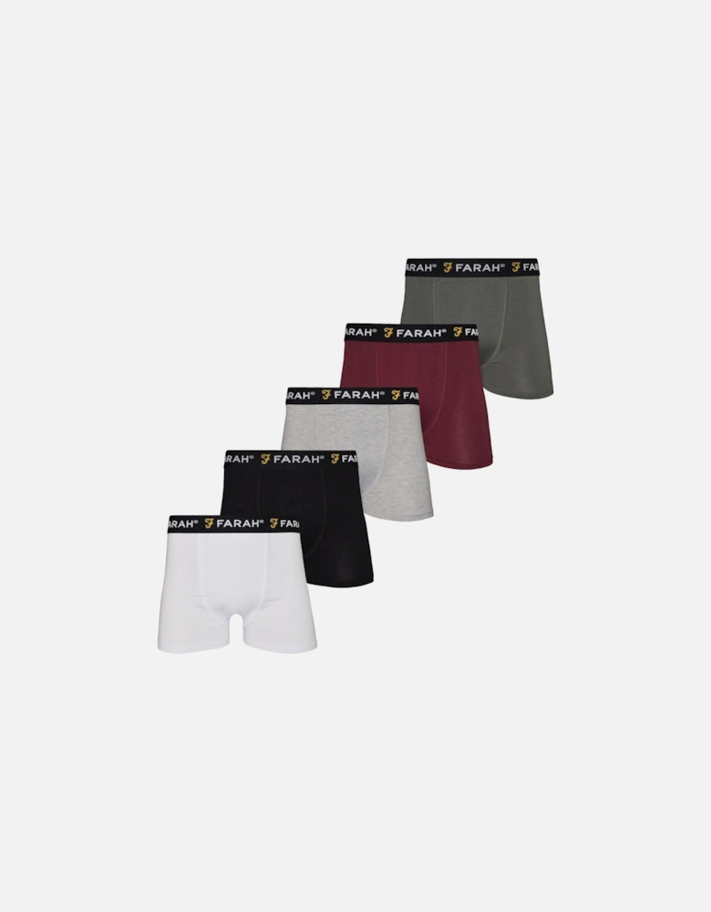 Mens Gaveer 5 Pack Elasticated Logo Boxers - Multi