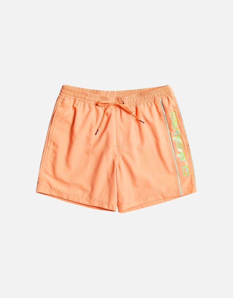 Kids Everyday Vert 14" Swimming Boardshorts