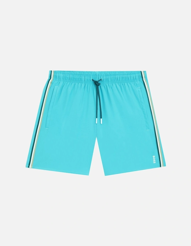 Men's Aqua Blue Swim Shorts
