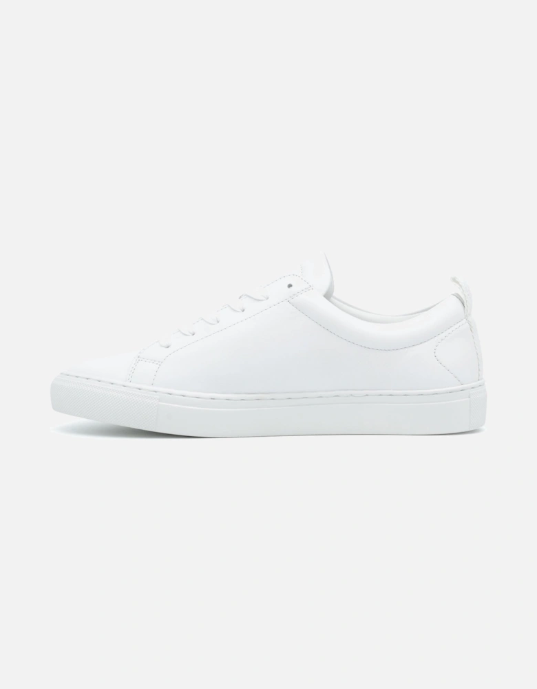 WALTON 	TRAINER