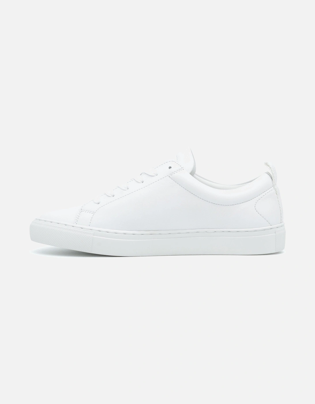 WALTON 	TRAINER