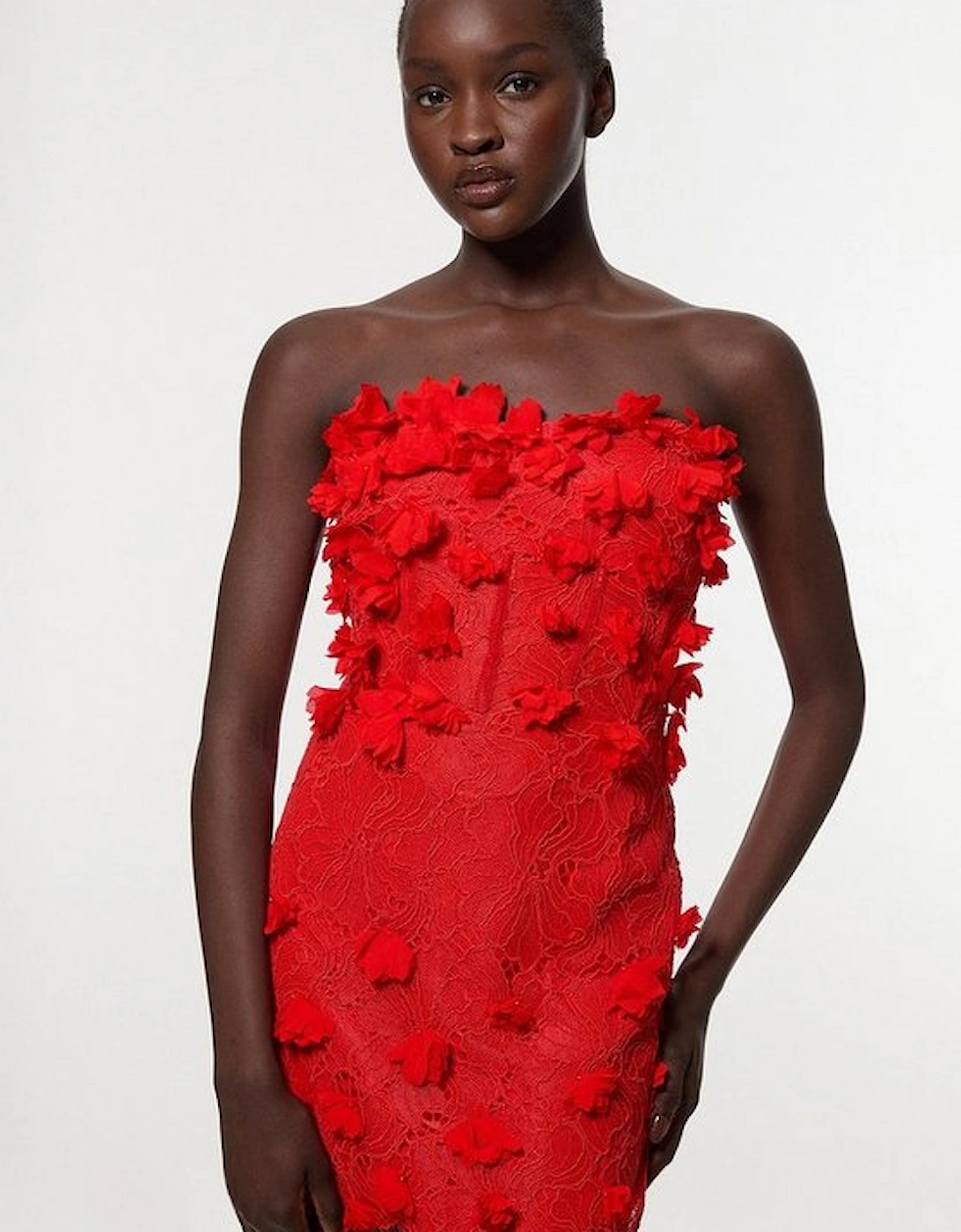Petite Applique Lace Corset Woven Mini Dress, 5 of 4