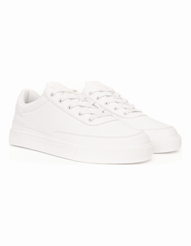 Jarrod Trainers