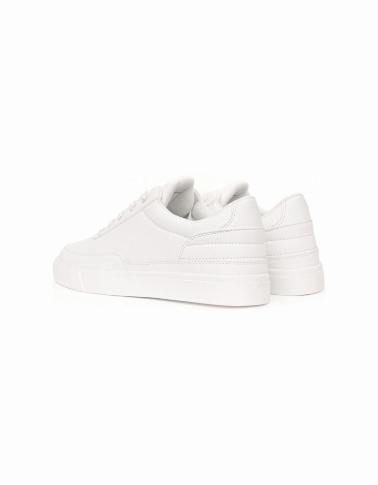 Jarrod Trainers