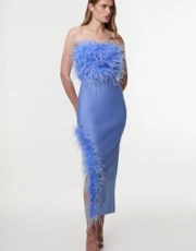 Cornflower