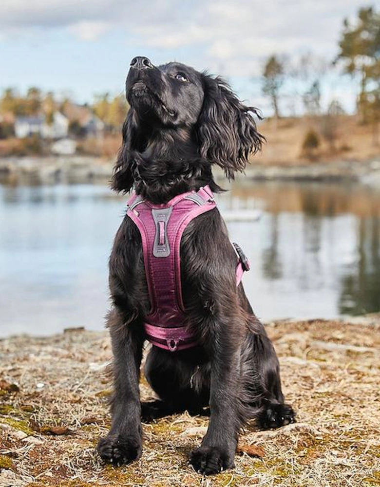 Ramble Harness