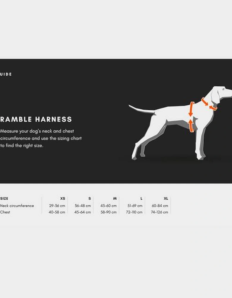 Ramble Harness