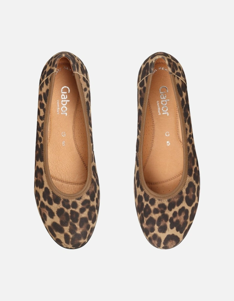 Splash Womens Casual Ballet Pumps