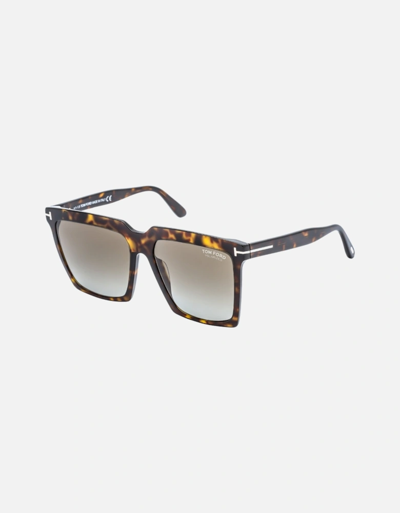 Sabrina Dark Havana Brown Sunglasses