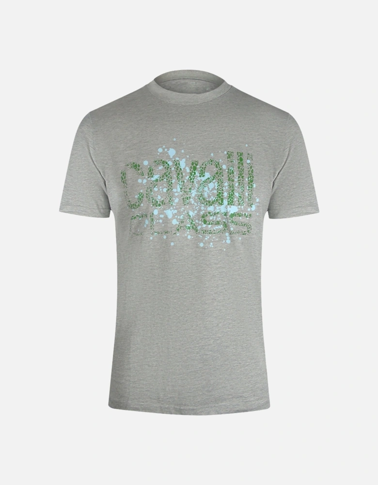 Cavalli Class Cracked Sprayed Logo Grey Melange T-Shirt