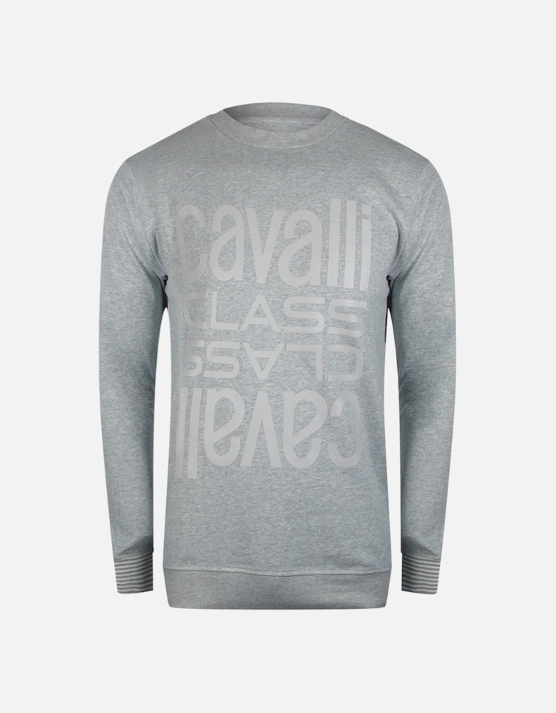 Cavalli Class Multi Logo Grey Sweatshirt
