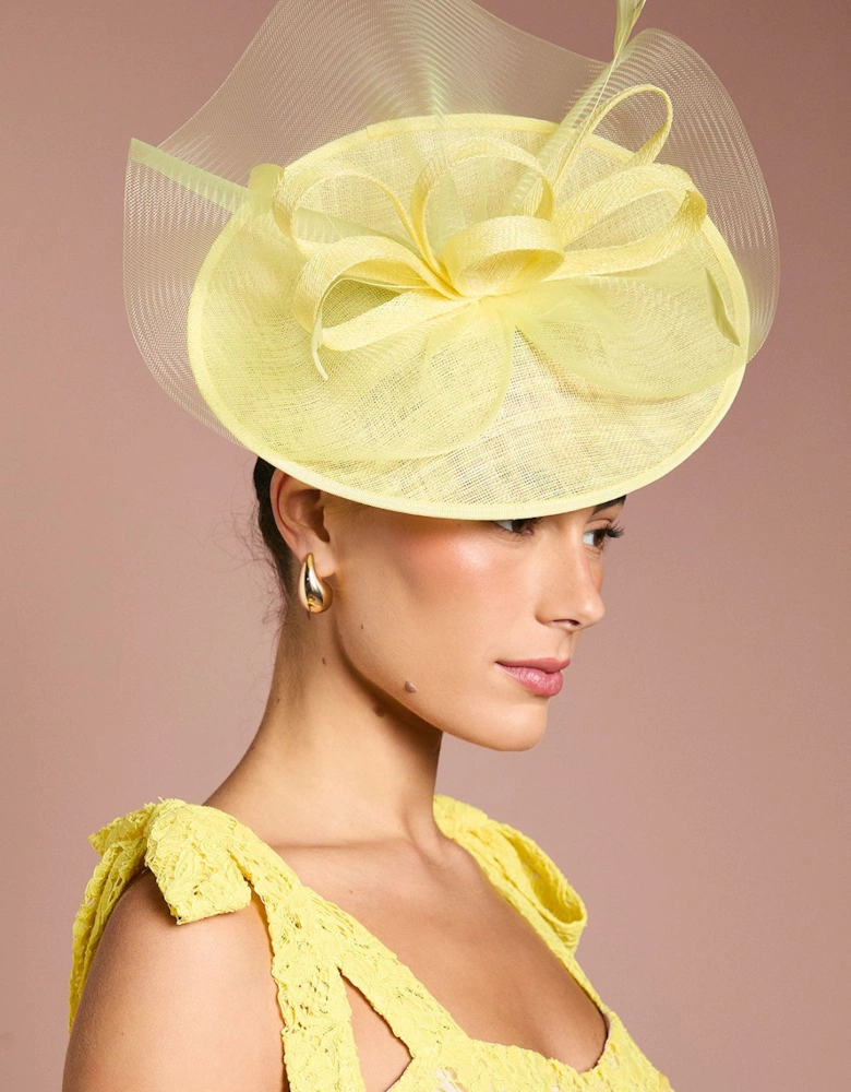 Loop And Feather Disc Fascinator