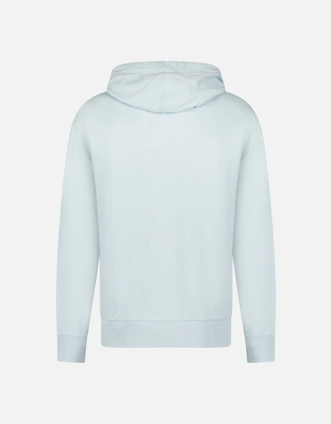 Embroidered Logo Hoodie in Light Blue