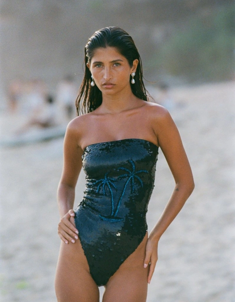 Chrissy Hand Embroidered Sequin Swimsuit Black
