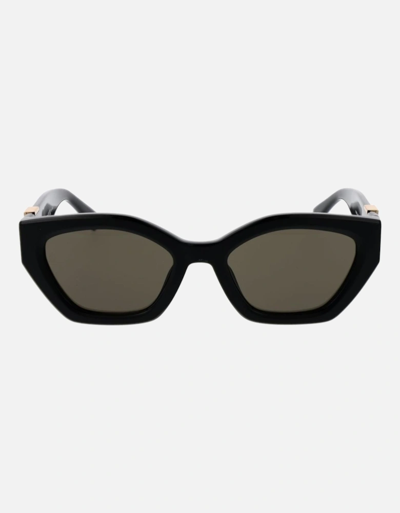 Cat Eye Full-Rim Acetate Sunglasses Women - Black