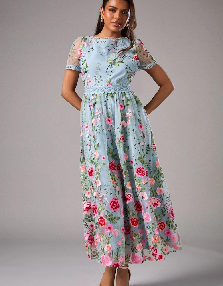 Petite Embroidered Mesh Midi Dress With Lace Trim