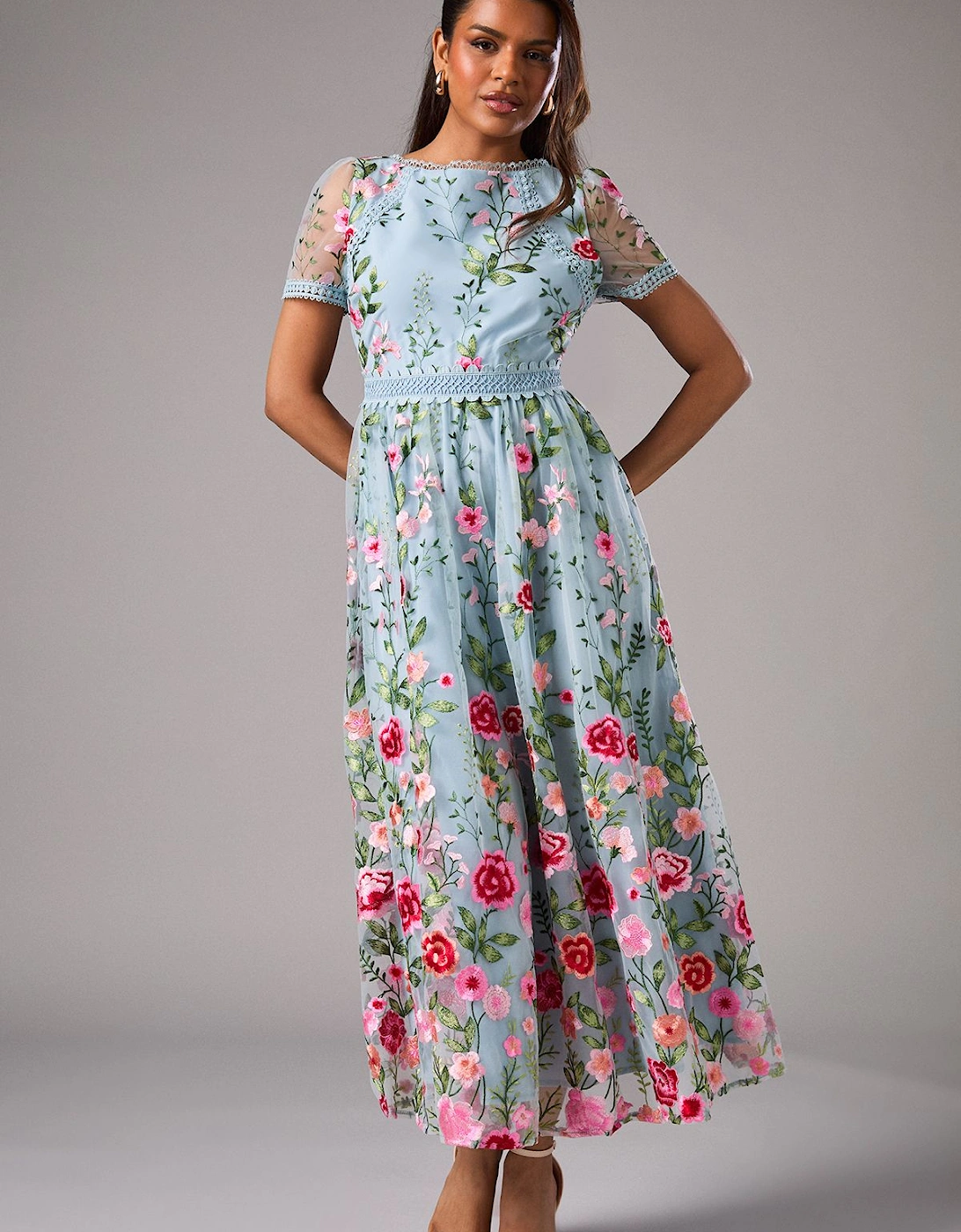 Petite Embroidered Mesh Midi Dress With Lace Trim, 2 of 1